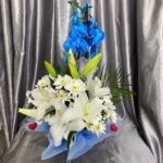 Çift Dal Mavi Orkide