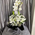 Çift Dal Beyaz Orkide