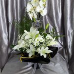 Çift Dal Beyaz Orkide