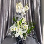 Çift Dal Beyaz Orkide