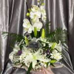 Çift Dal Beyaz Orkide